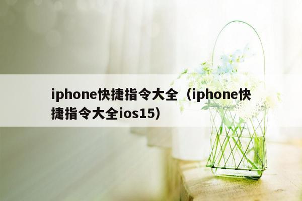 iphone快捷指令大全（iphone快捷指令大全ios15）