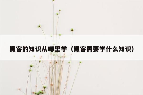 黑客的知识从哪里学（黑客需要学什么知识）