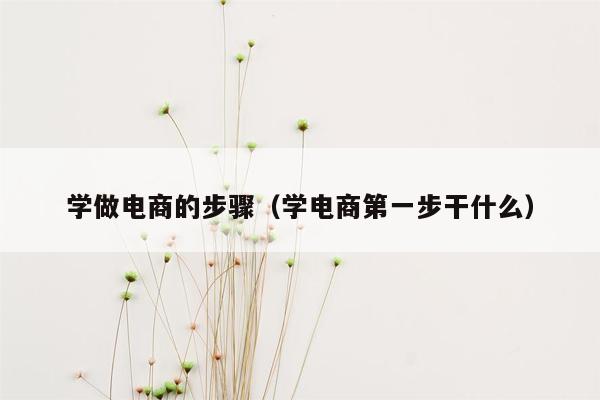 学做电商的步骤（学电商第一步干什么）