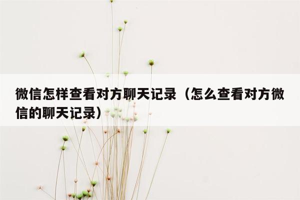 微信怎样查看对方聊天记录（怎么查看对方微信的聊天记录）