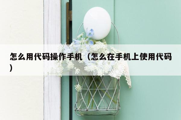 怎么用代码操作手机（怎么在手机上使用代码）