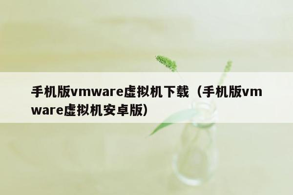 手机版vmware虚拟机下载（手机版vmware虚拟机安卓版）