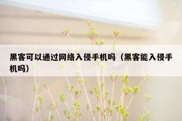 黑客可以通过网络入侵手机吗（黑客能入侵手机吗）