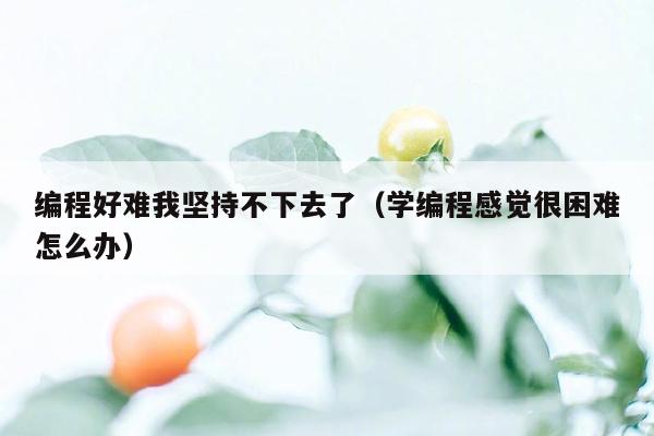 编程好难我坚持不下去了（学编程感觉很困难怎么办）