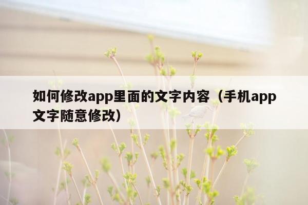 如何修改app里面的文字内容（手机app文字随意修改）