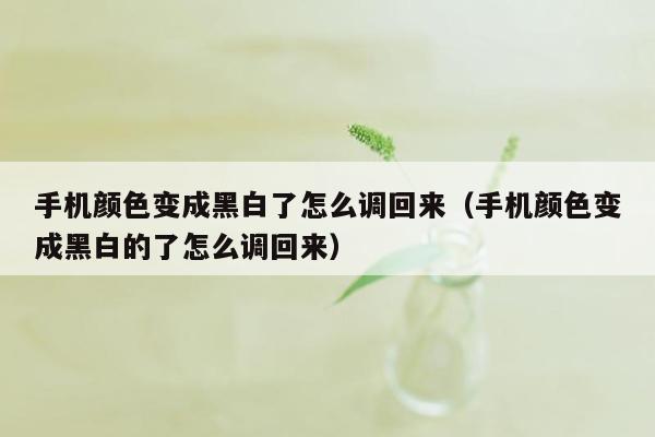 手机颜色变成黑白了怎么调回来（手机颜色变成黑白的了怎么调回来）