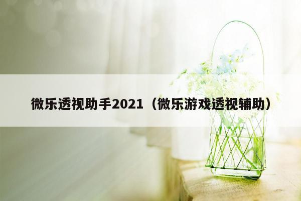 微乐透视助手2021（微乐游戏透视辅助）