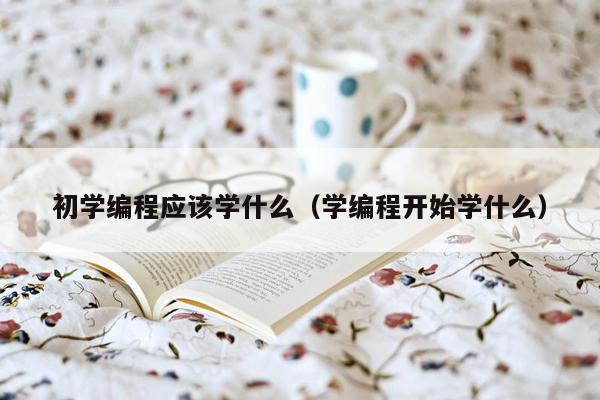 初学编程应该学什么（学编程开始学什么）