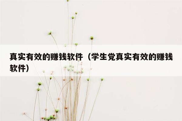 真实有效的赚钱软件（学生党真实有效的赚钱软件）