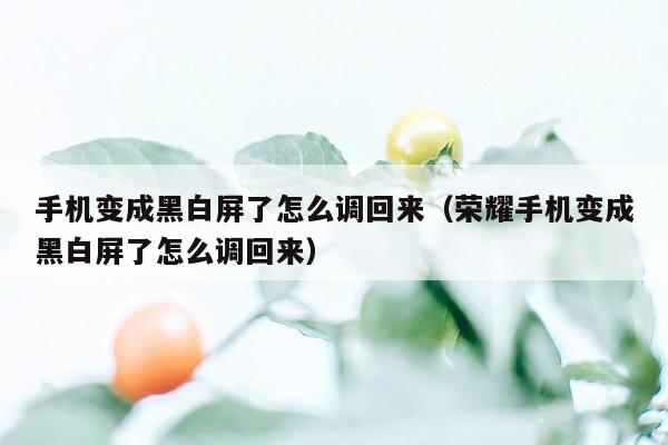 手机变成黑白屏了怎么调回来（荣耀手机变成黑白屏了怎么调回来）