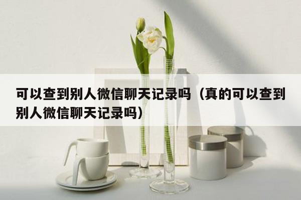 可以查到别人微信聊天记录吗（真的可以查到别人微信聊天记录吗）