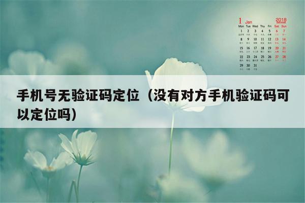 手机号无验证码定位（没有对方手机验证码可以定位吗）