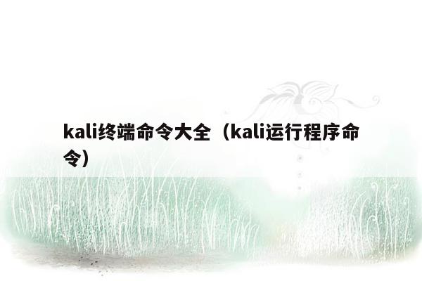 kali终端命令大全（kali运行程序命令）