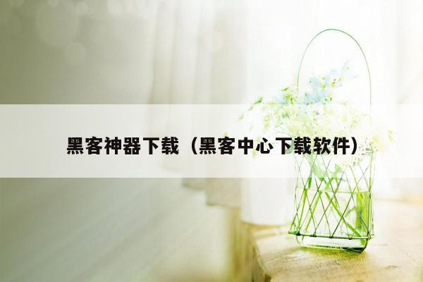 黑客神器下载（黑客中心下载软件）