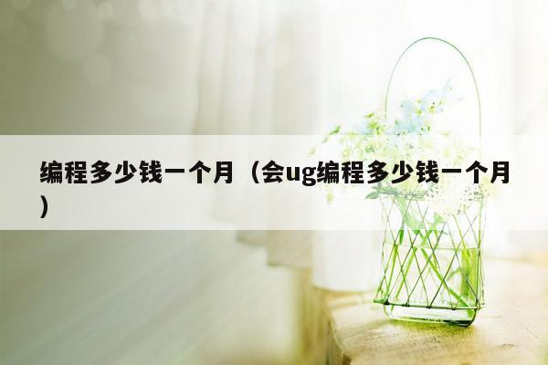 编程多少钱一个月（会ug编程多少钱一个月）