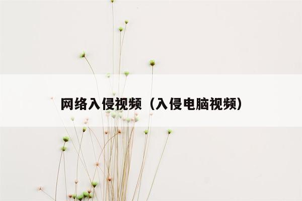 网络入侵视频（入侵电脑视频）