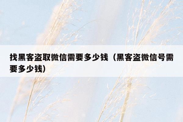 找黑客盗取微信需要多少钱（黑客盗微信号需要多少钱）