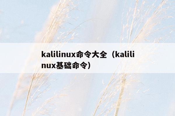 kalilinux命令大全（kalilinux基础命令）