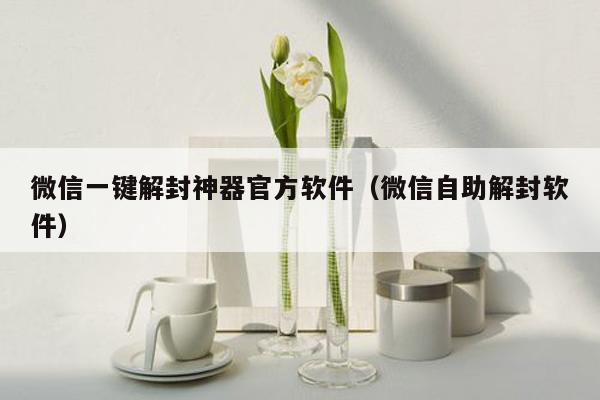 微信一键解封神器官方软件（微信自助解封软件）