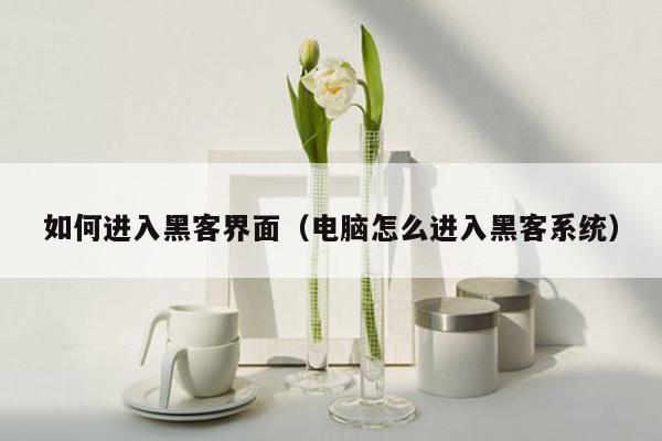 如何进入黑客界面（电脑怎么进入黑客系统）