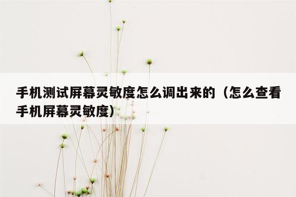 手机测试屏幕灵敏度怎么调出来的（怎么查看手机屏幕灵敏度）