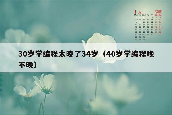 30岁学编程太晚了34岁（40岁学编程晚不晚）