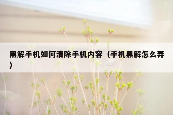 黑解手机如何清除手机内容（手机黑解怎么弄）