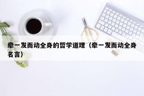 牵一发而动全身的哲学道理（牵一发而动全身名言）