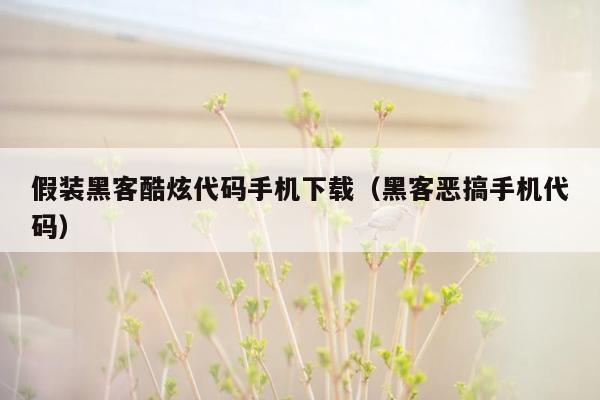 假装黑客酷炫代码手机下载（黑客恶搞手机代码）