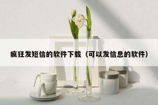 疯狂发短信的软件下载（可以发信息的软件）