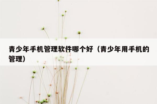 青少年手机管理软件哪个好（青少年用手机的管理）