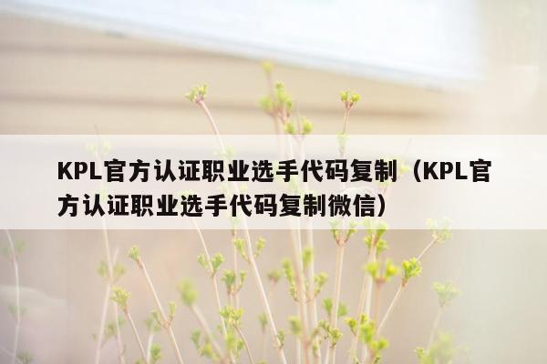 KPL官方认证职业选手代码复制（KPL官方认证职业选手代码复制微信）