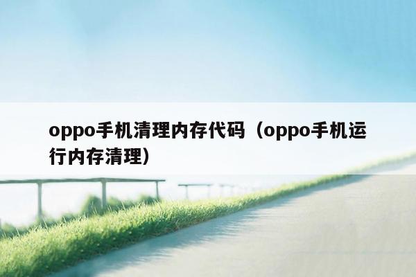 oppo手机清理内存代码（oppo手机运行内存清理）