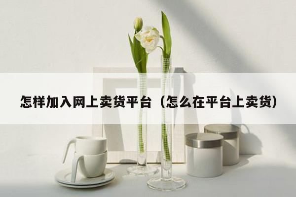 怎样加入网上卖货平台（怎么在平台上卖货）