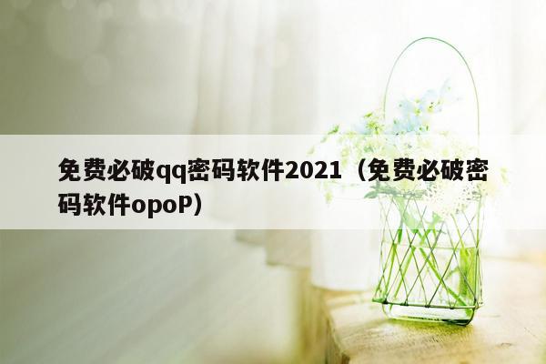 免费必破qq密码软件2021（免费必破密码软件opoP）