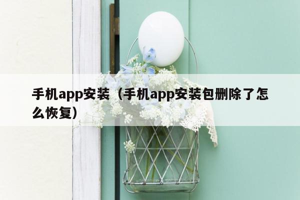 手机app安装（手机app安装包删除了怎么恢复）