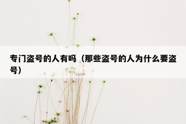 专门盗号的人有吗（那些盗号的人为什么要盗号）