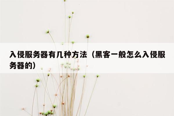 入侵服务器有几种方法（黑客一般怎么入侵服务器的）