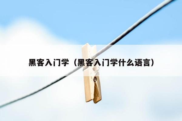 黑客入门学（黑客入门学什么语言）