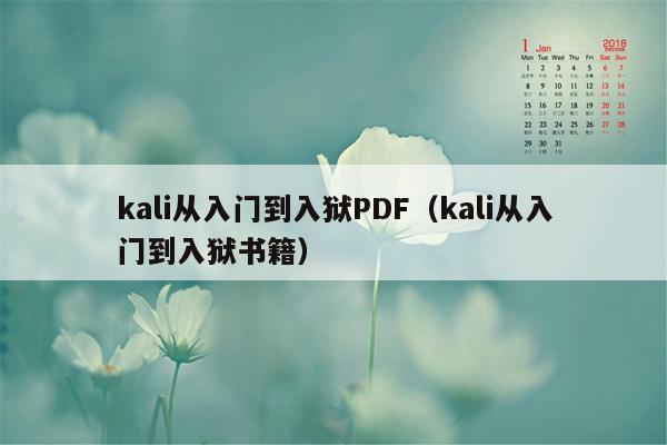 kali从入门到入狱PDF（kali从入门到入狱书籍）