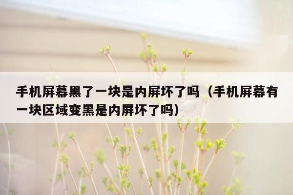 手机屏幕黑了一块是内屏坏了吗（手机屏幕有一块区域变黑是内屏坏了吗）