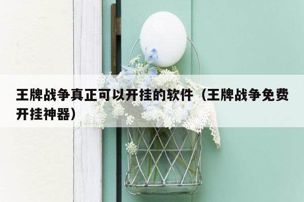 王牌战争真正可以开挂的软件（王牌战争免费开挂神器）