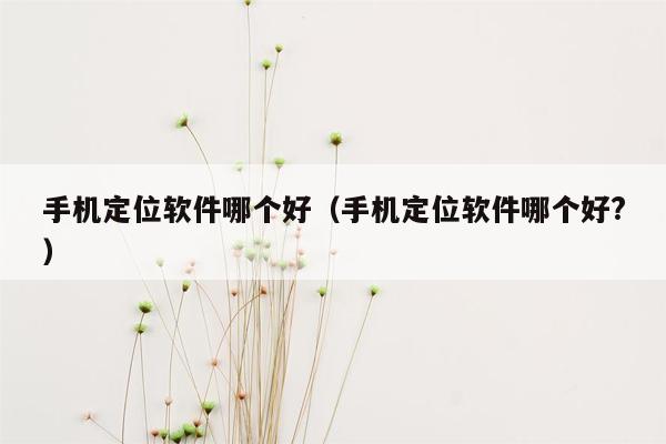 手机定位软件哪个好（手机定位软件哪个好?）