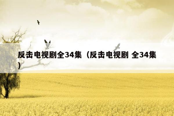 反击电视剧全34集（反击电视剧 全34集）