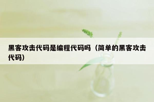 黑客攻击代码是编程代码吗（简单的黑客攻击代码）