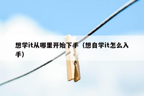 想学it从哪里开始下手（想自学it怎么入手）