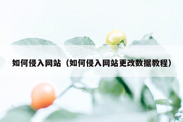 如何侵入网站（如何侵入网站更改数据教程）