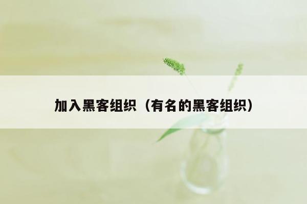 加入黑客组织（有名的黑客组织）