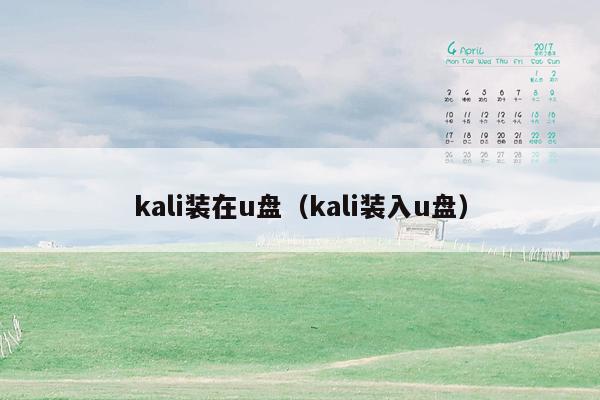 kali装在u盘（kali装入u盘）