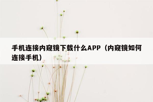 手机连接内窥镜下载什么APP（内窥镜如何连接手机）